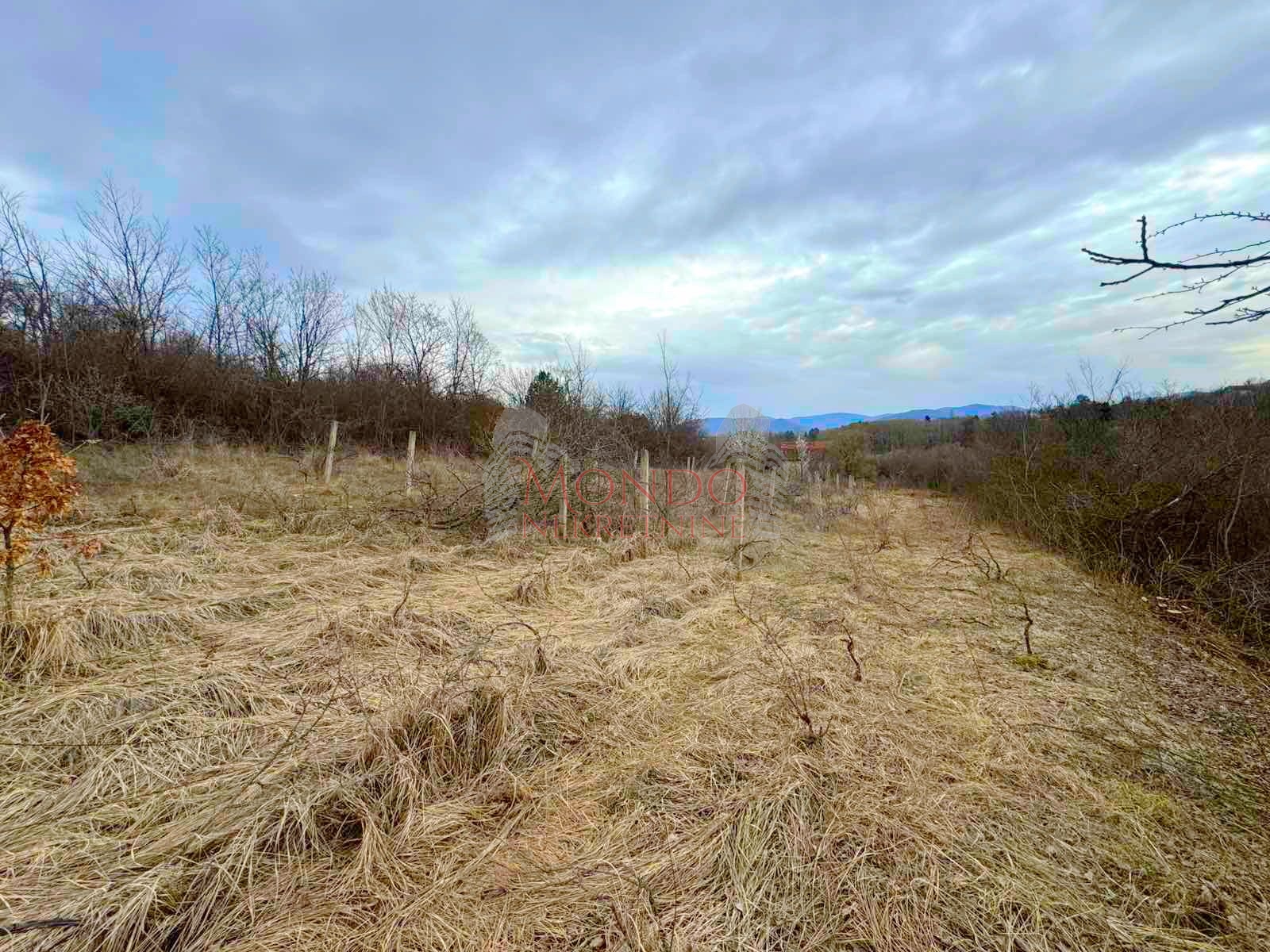 Na prodaju plac na putu za Donje Vlase, 30.63ari