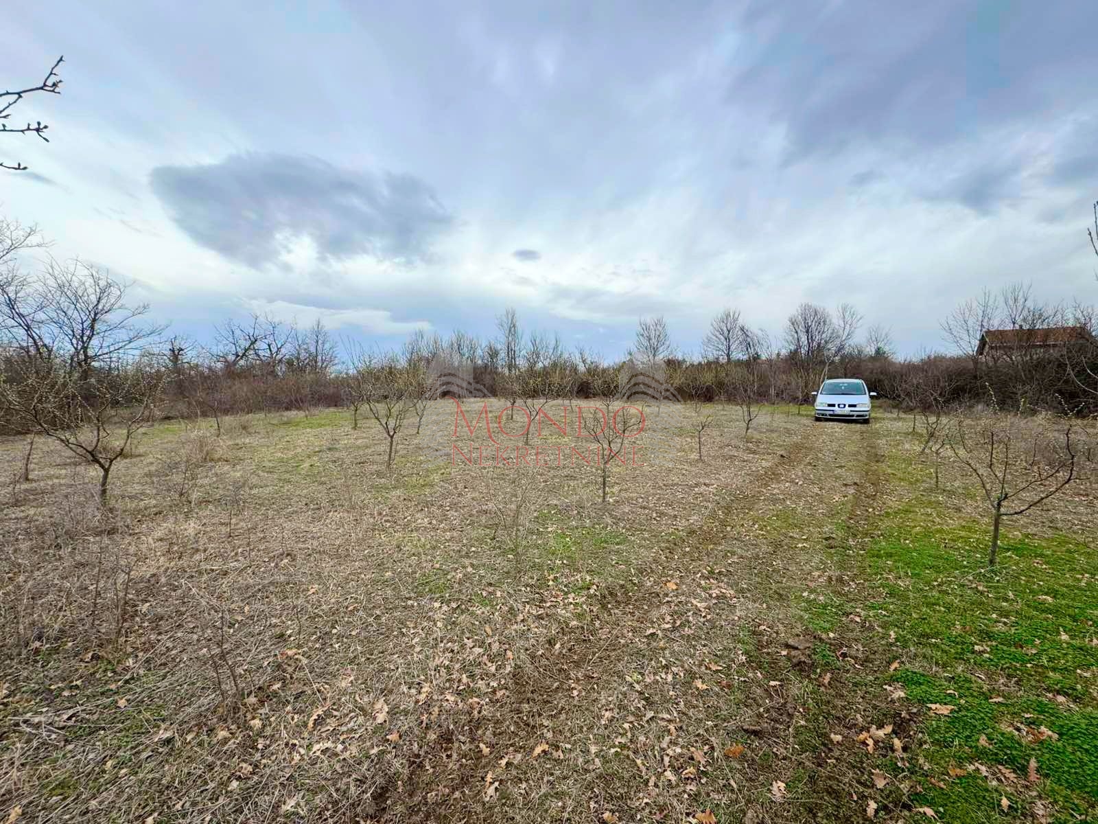 Na prodaju plac na putu za Donje Vlase, 30.63ari