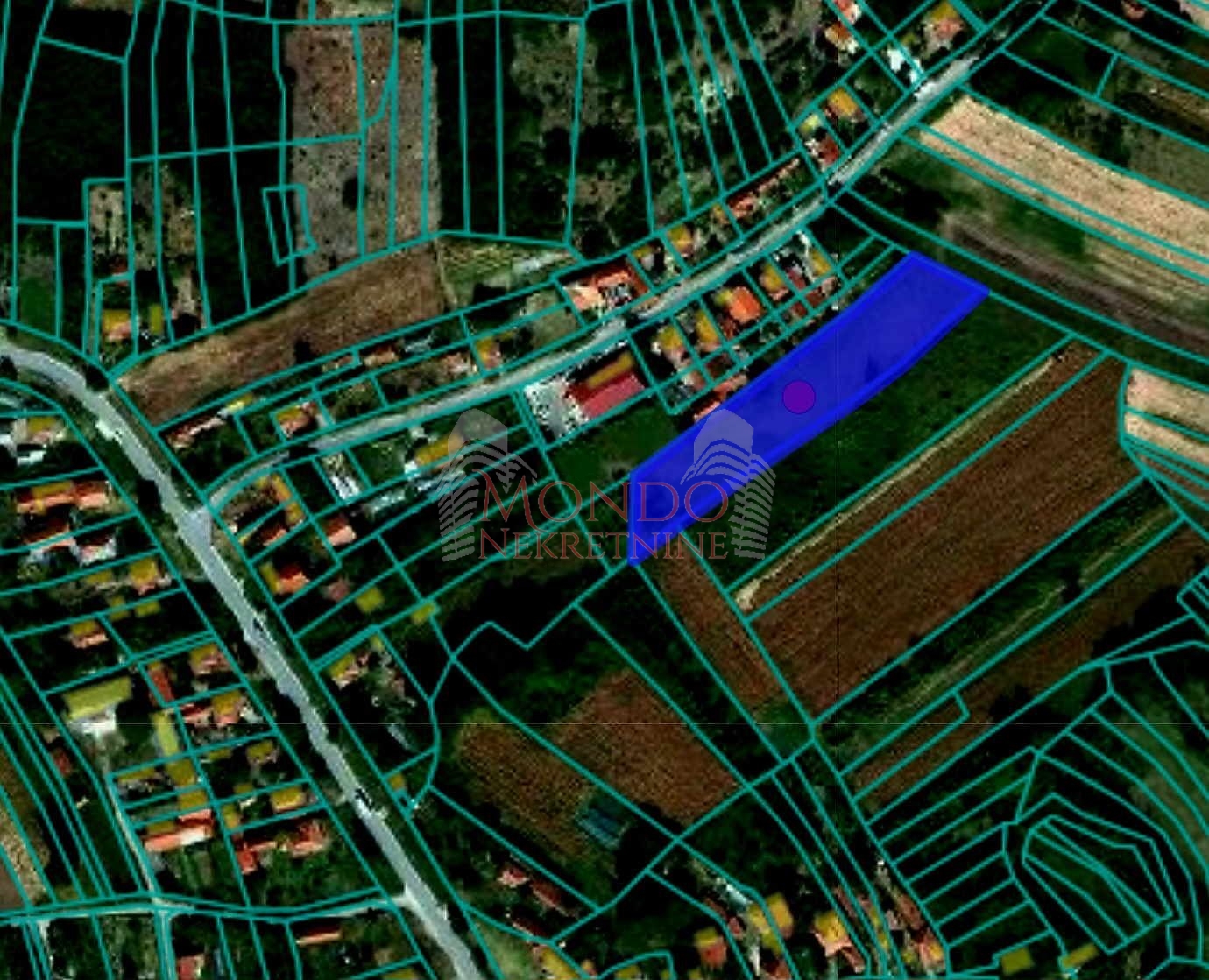 Plac, Gornja Toponica, 50 ara