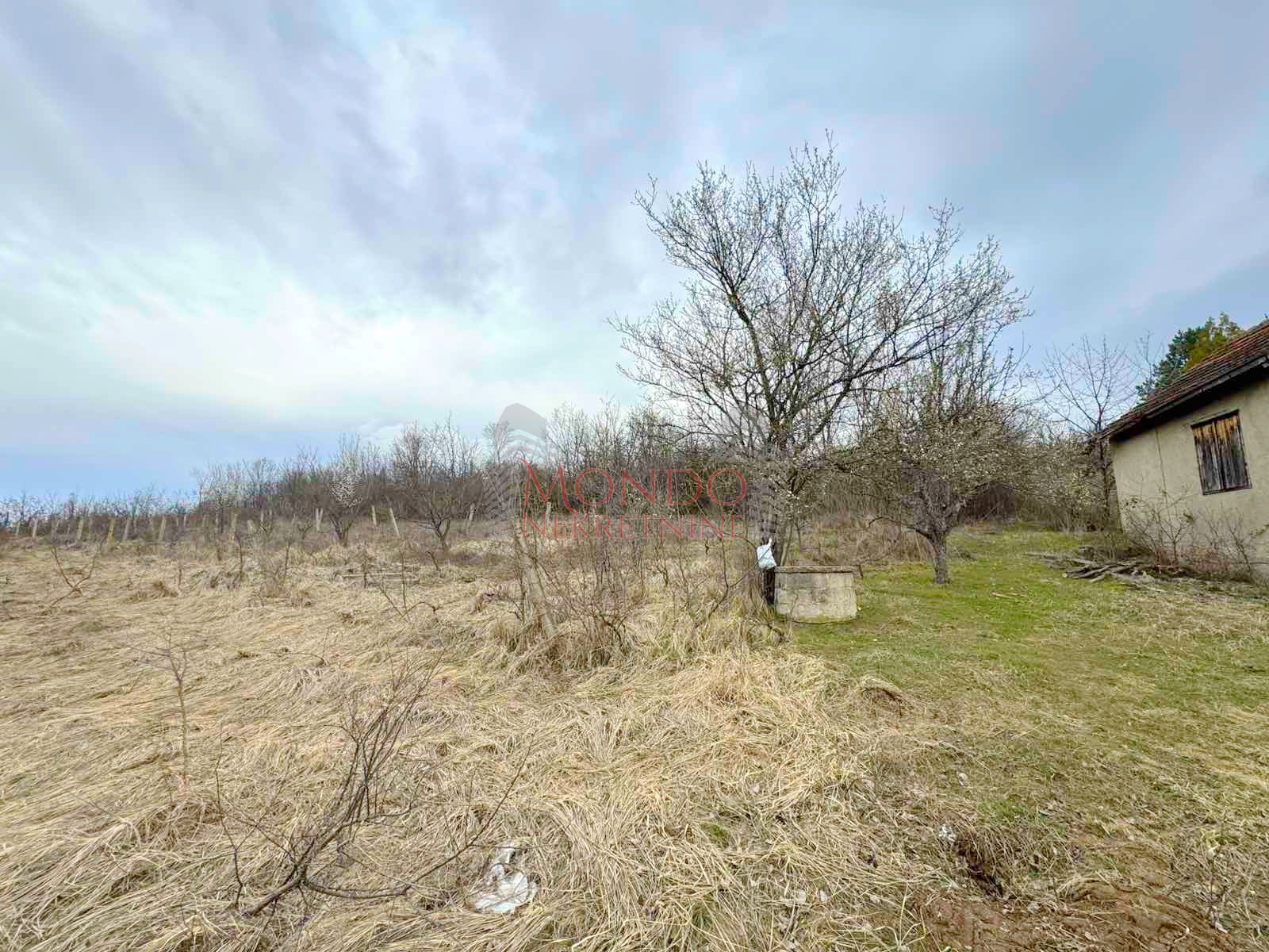 Na prodaju plac na putu za Donje Vlase, 30.63ari