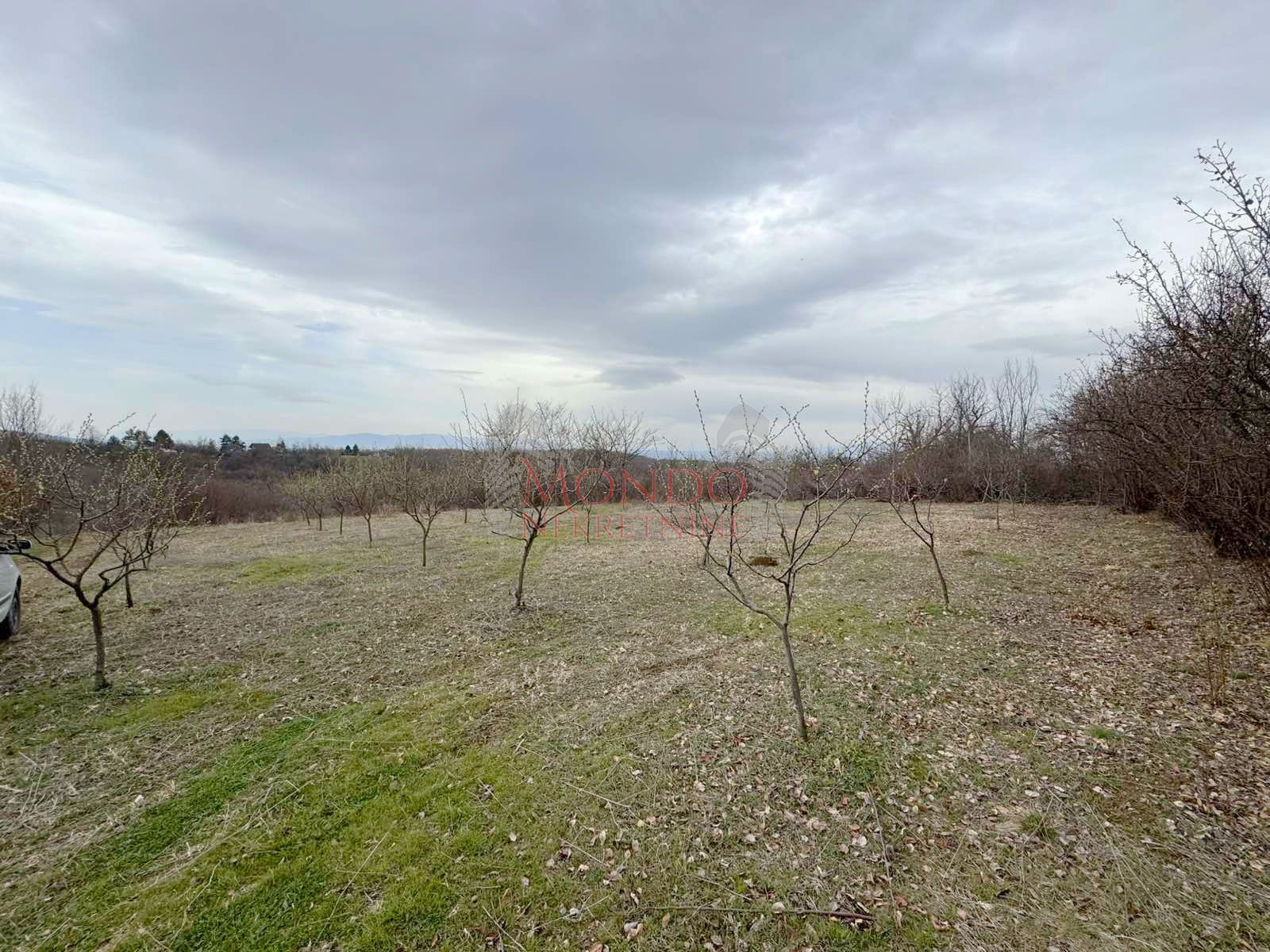 Na prodaju plac na putu za Donje Vlase, 30.63ari