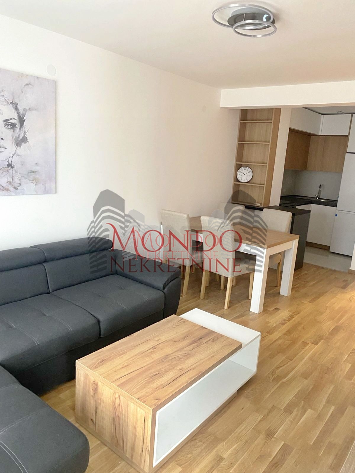 Luks jednoiposoban stan kod Doma zdravlja