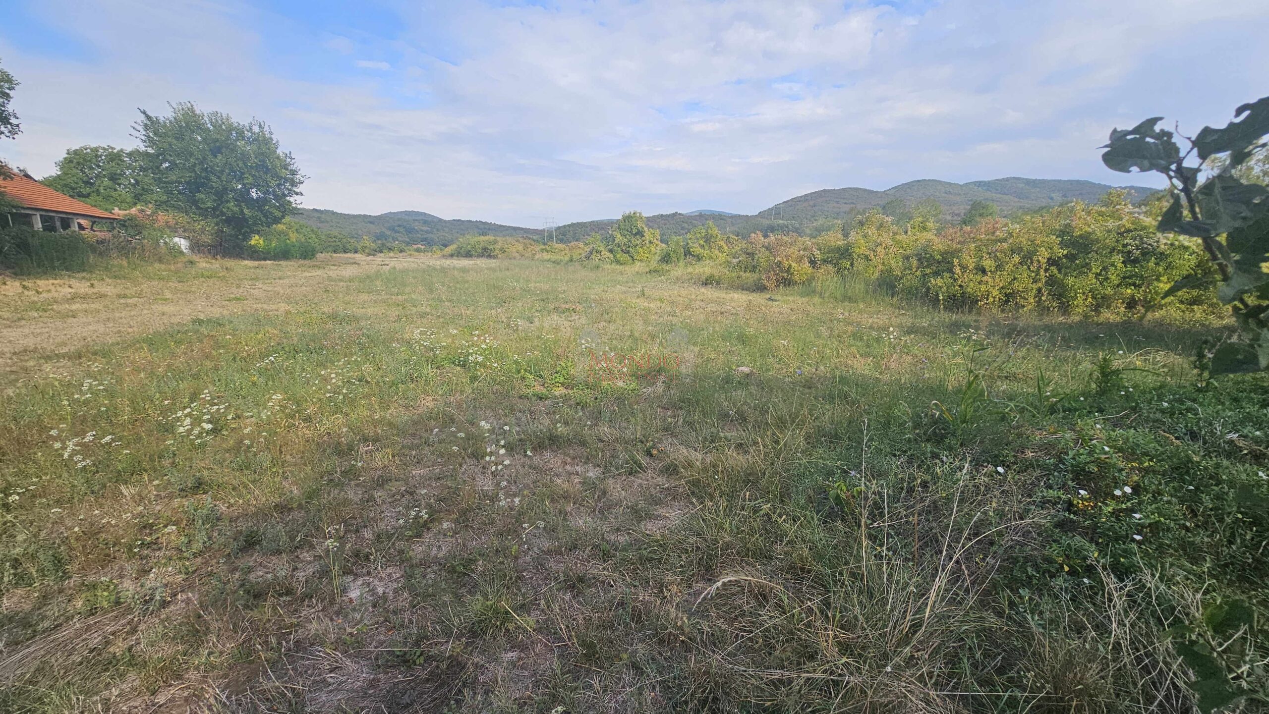 Plac, Gornja Toponica, 50 ara