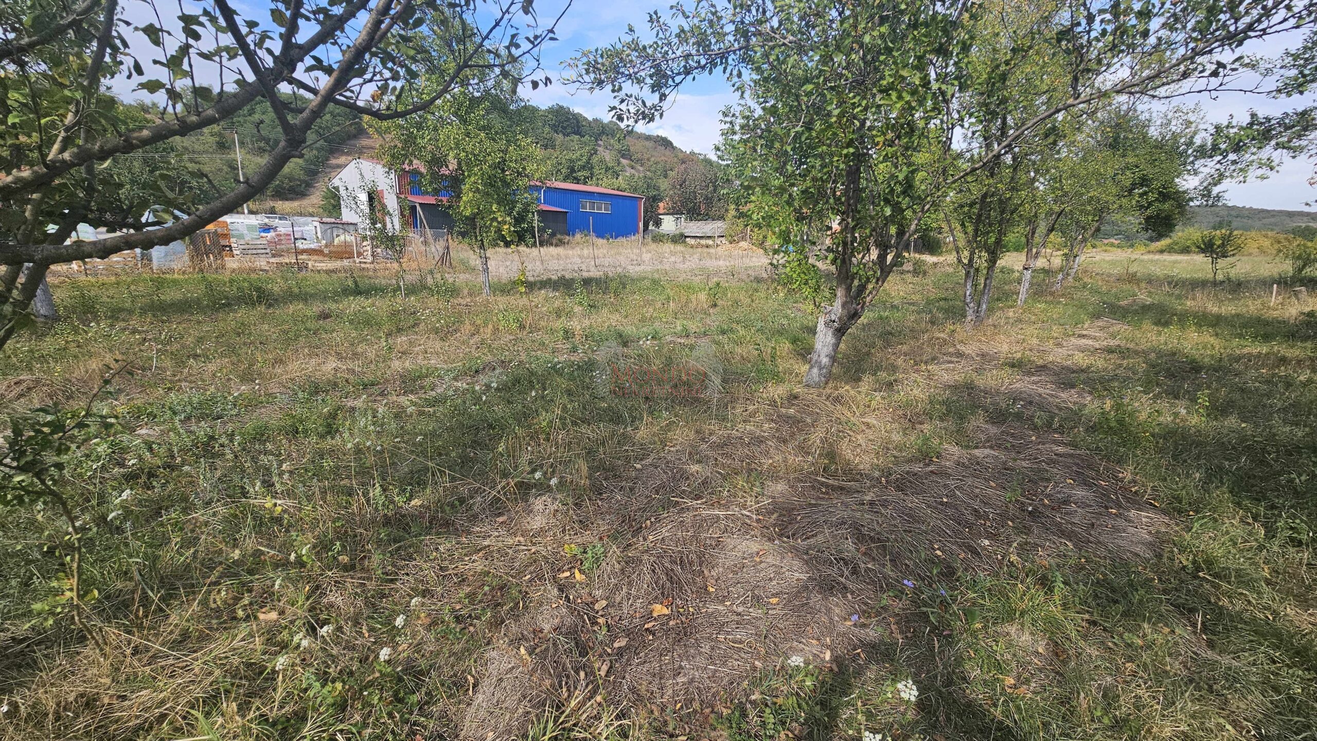 Plac, Gornja Toponica, 50 ara