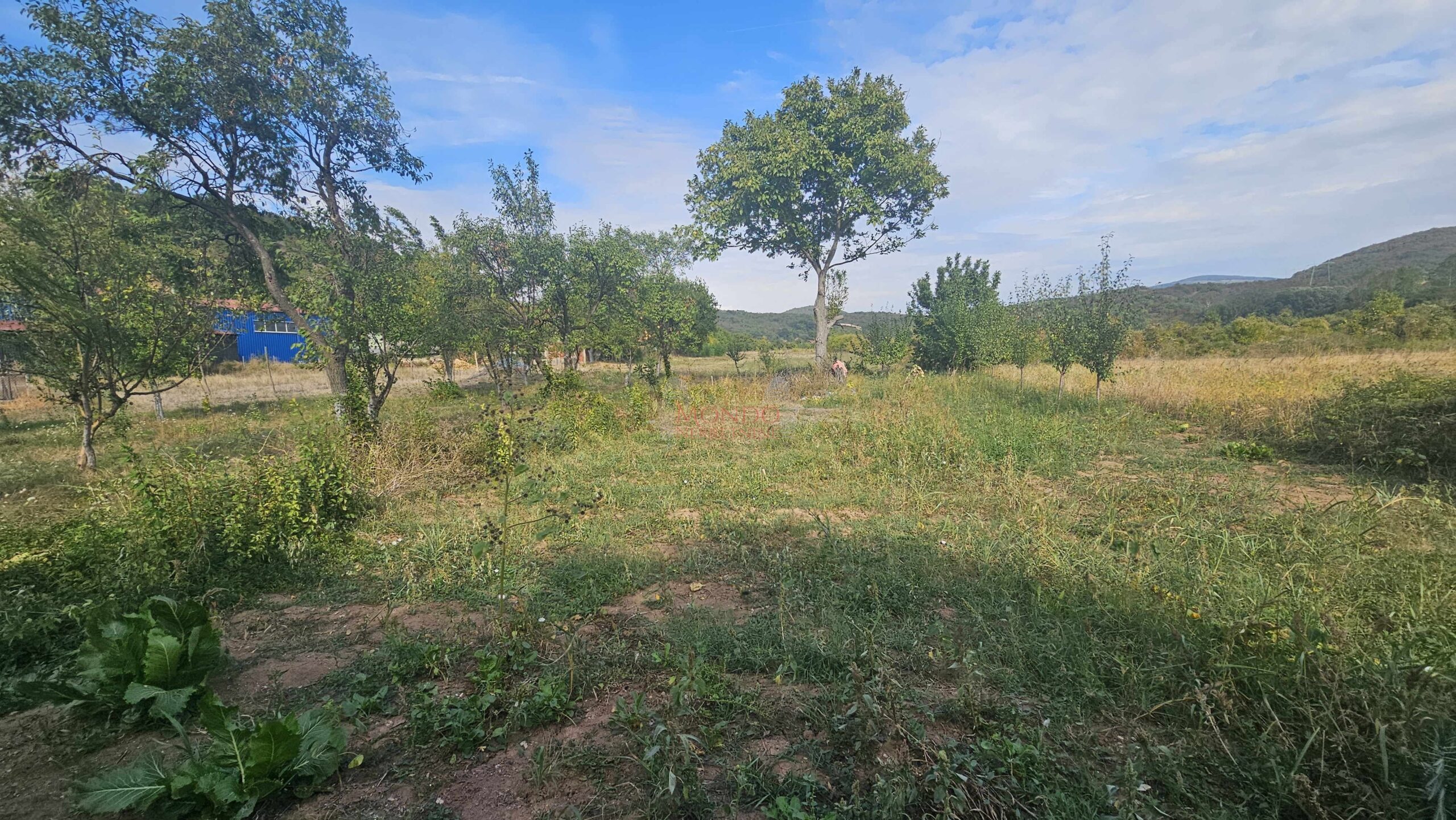 Plac, Gornja Toponica, 50 ara