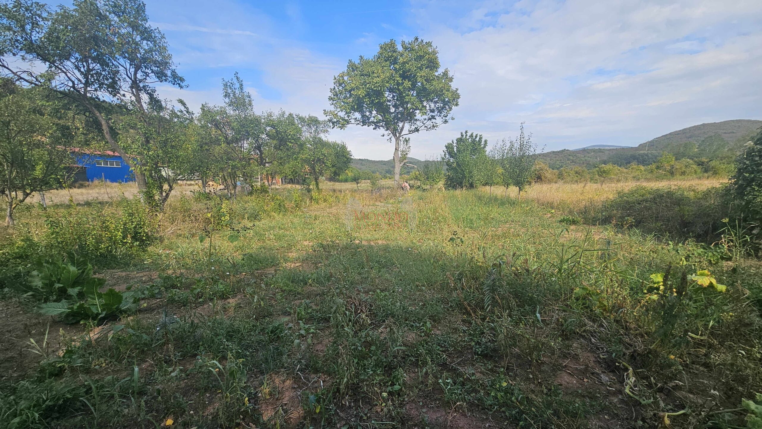 Plac, Gornja Toponica, 50 ara